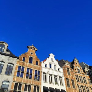 🇧🇪